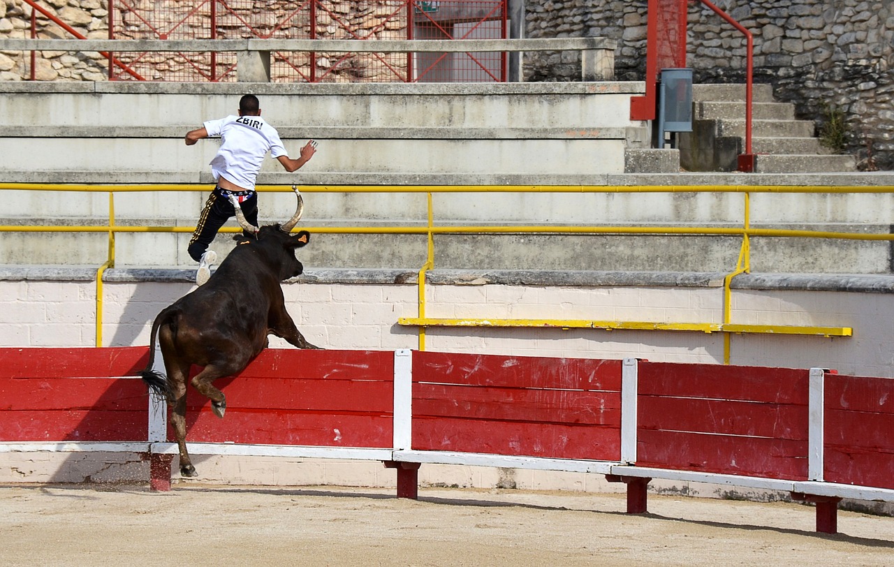之选