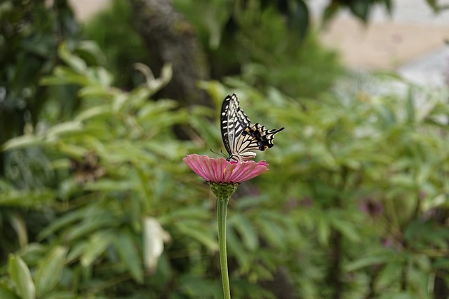 分把握这点